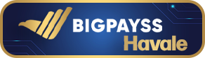 Bigpayss Bank Transfer